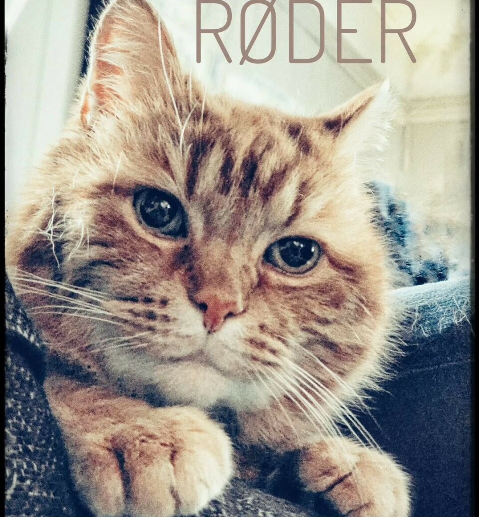 Røder 13 år