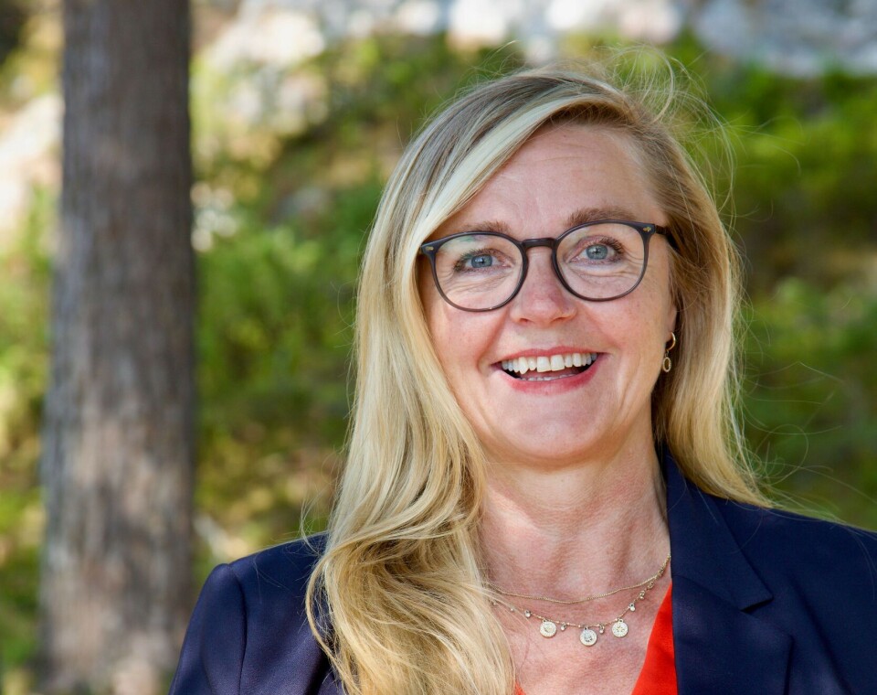 Randi Fostervoll, guppeleiar Fylkestingsgruppe Møre og Romsdal KrF