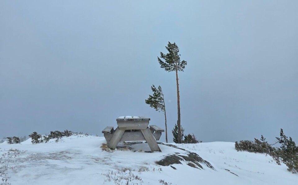 Strengen 890 Moh. Et rasteplassbord i snøen i fjellandskap.