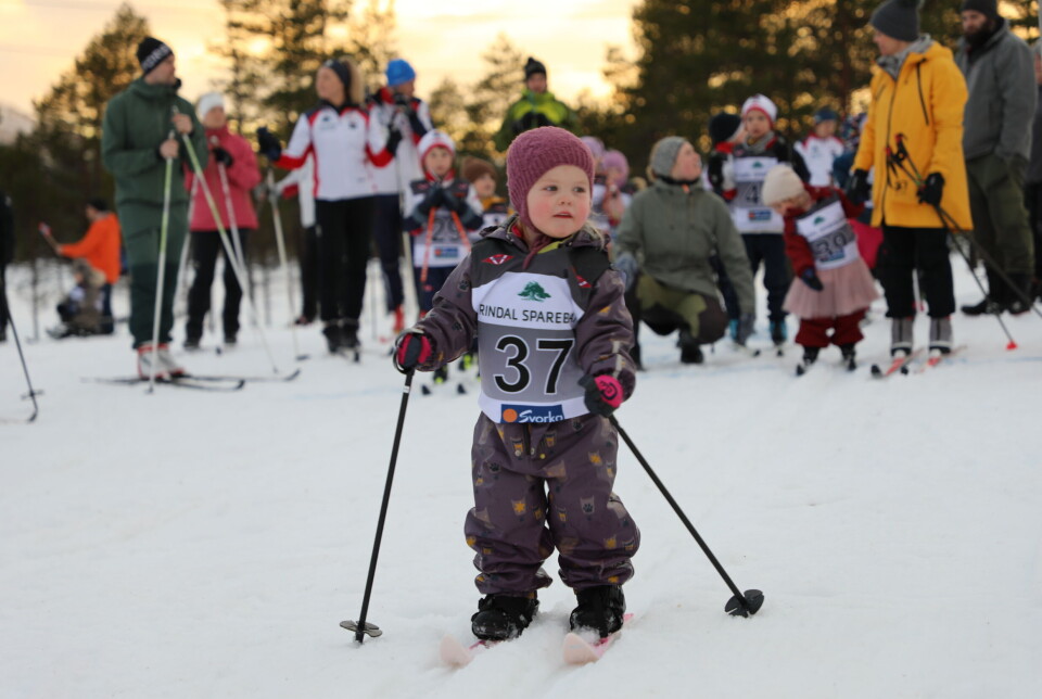 Et barn som går på ski, med startnummer på brystet.