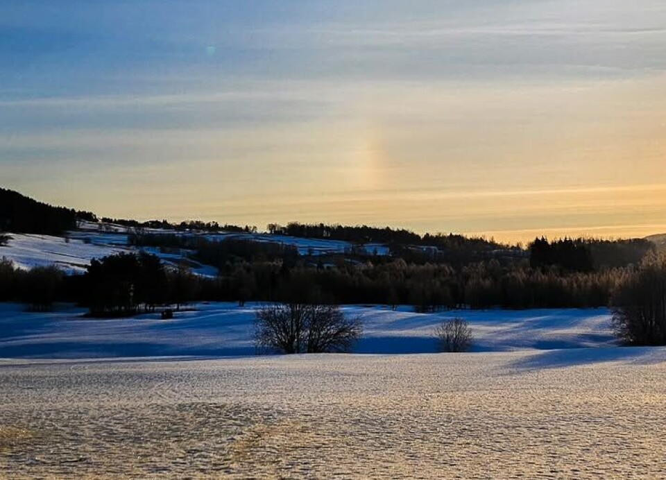 Trønsdalen. En strålende fin morgen! En soloppgang, snødekt landskap.