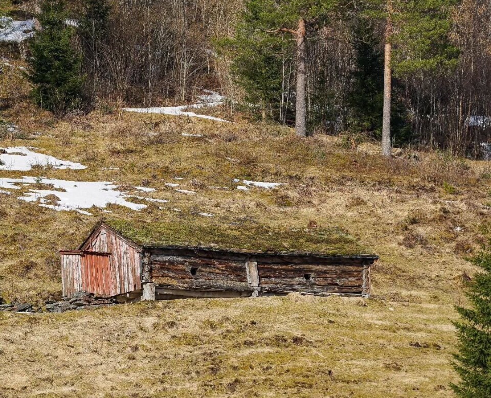 Sommerfjøs, Øvre Surnadal En gammel liten tømmerbygning.