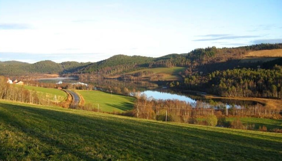 Lomundsjøen. Et vann med grønne enger og skog rundt.