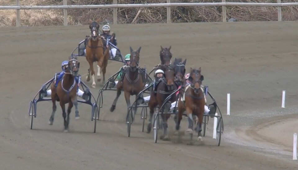 Obrigado (ytterst i sporene) gikk inn til en fin tredjeplass. Et travløp.