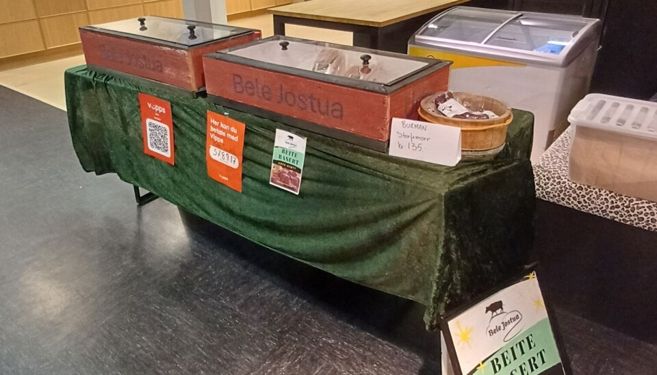 Bele Jostua sitt utsalg Bilde av bord med frysebokser