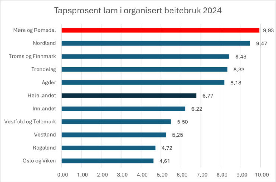 Statistikk frå tilskotsordninga organisert beitebruk. Graf som viser at Møre og Romsdal er på topp i landet med tap av lam på nesten 10% i snitt.