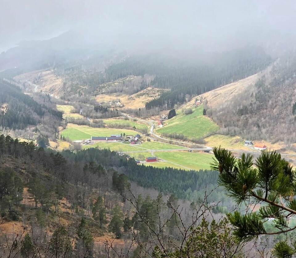 Gambla på at det lave skydekket som var meldt på formiddagen var så lavt at jeg kom over. Og det klaffa bra 👌 kom over skodda på Litjhjelmen 🤩 og hadde supert vær til jeg begynte å gå ned, da steg skodda og la seg på toppen og skoddefritt nedi dalen. Perfekt timing med meldt værvindu 🙌 utsikt med tåke over