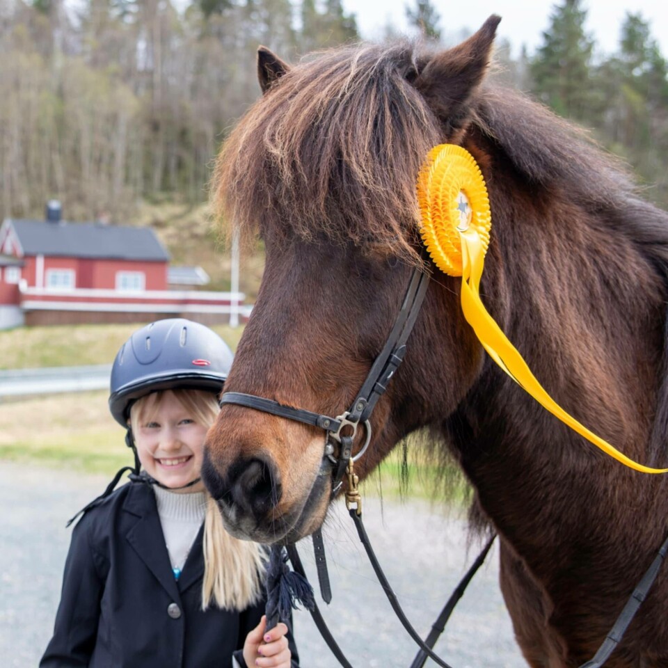 Oda Bævre sammen med islandshesten Tyrill. Flotte rosetter i påskegult i premie er stor stas. Jente med stor hest.