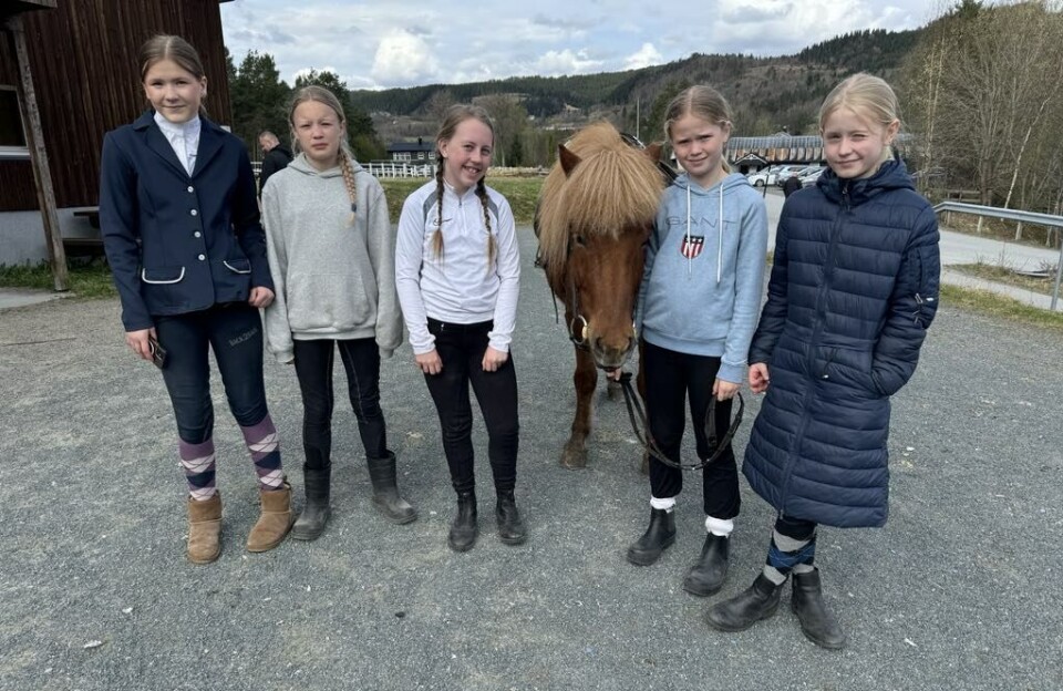 Ivrige hestejenter: F.v: Othelie Sundli, Ine Øie, Ariel Kjølstad Fiske, Liv Gravvold Bunes og Ingrid Oline Gravvold-Iversen. 5 jenter og en hest.