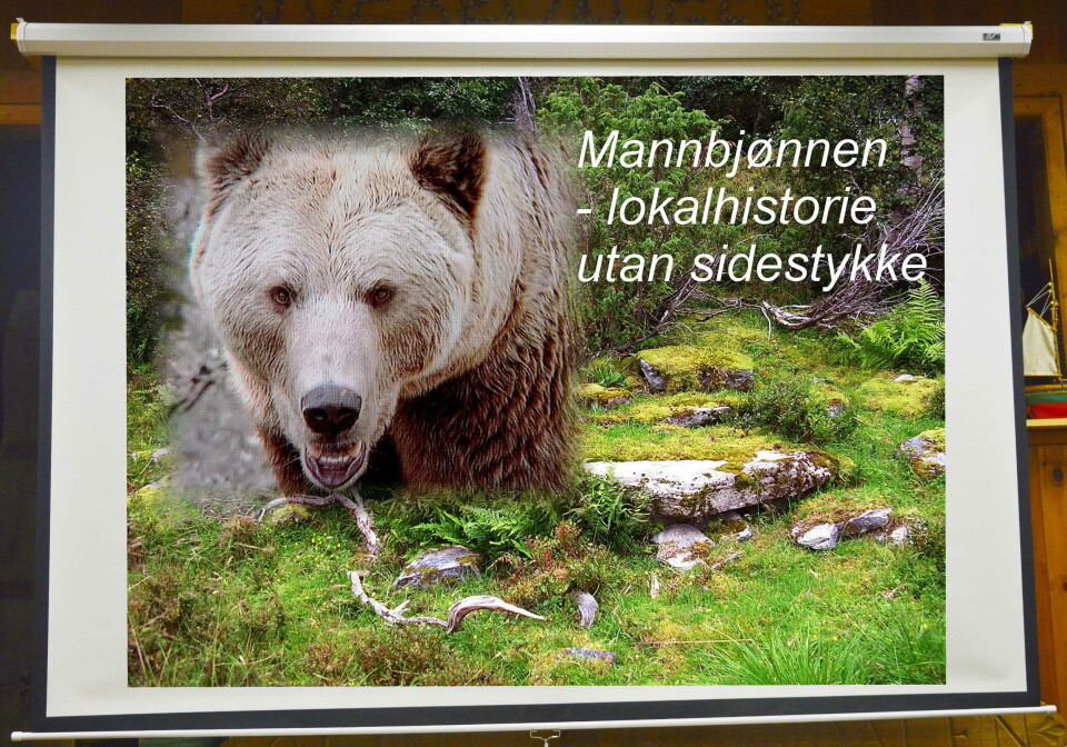 Frå biletserien om «Mannbjønnen»: Montasjen viser området i Dragsetdalen der gjetarjenta vart drepen 13. mai 1775 – eit tragisk 250-årsminne i desse dagar. En bjørn.