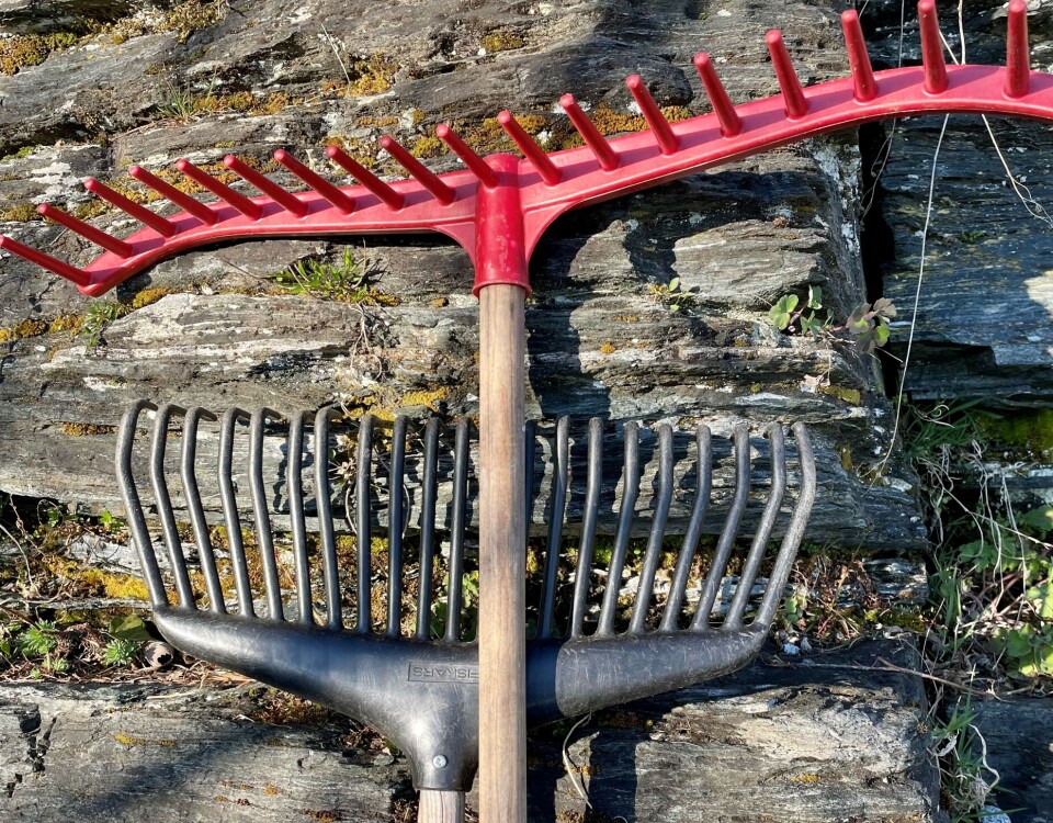 No er det tid for vårdugnad på kyrkjegardane