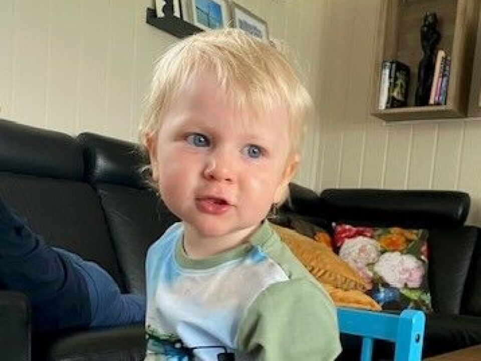 Felix Gåsvand Holden 2 år