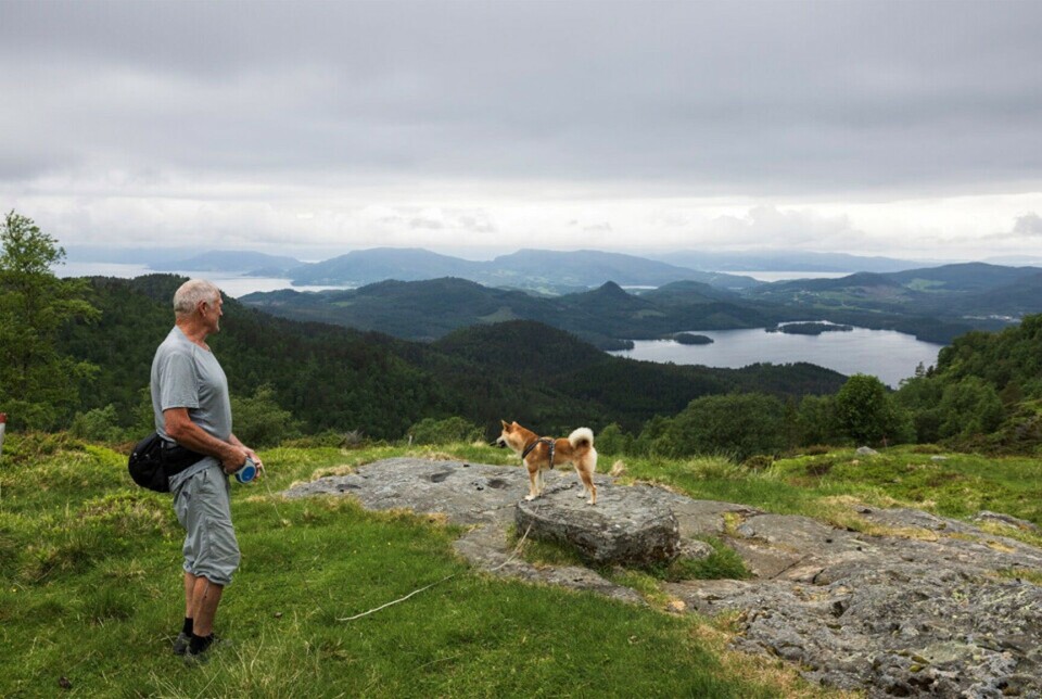 Fjellgruppa til Fløystadfjellet! Ein mann med hund på fjelltur.