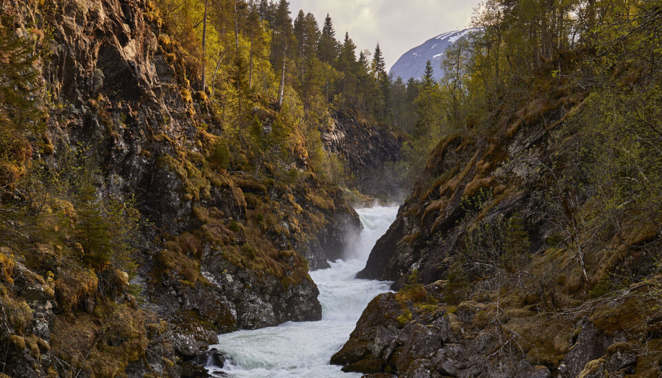 Småkraftverka som har små negative verknader for naturen er alt bygd