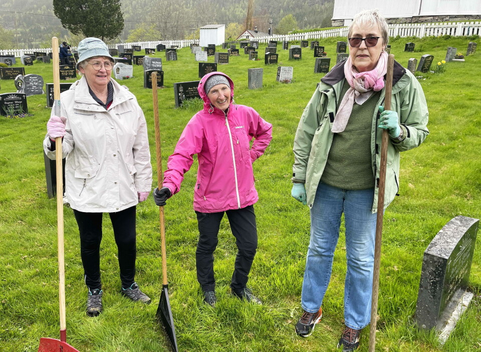 Kjellaug Sollid (frå venstre), Gunnhild Skjerdal og Marit Settemsdal kan å bruke rivene. Tre damer med river på kirkegårdsdugnad.