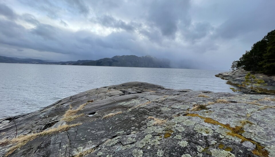 Bildet er tatt fra Mannbjønnberget i Bøfjorden. Man kan bare tenke seg hvordan det er å ha en bjørn bak seg på kanten her. Et berg som går ut i sjøen. Gråe skyer i bakgrunnen