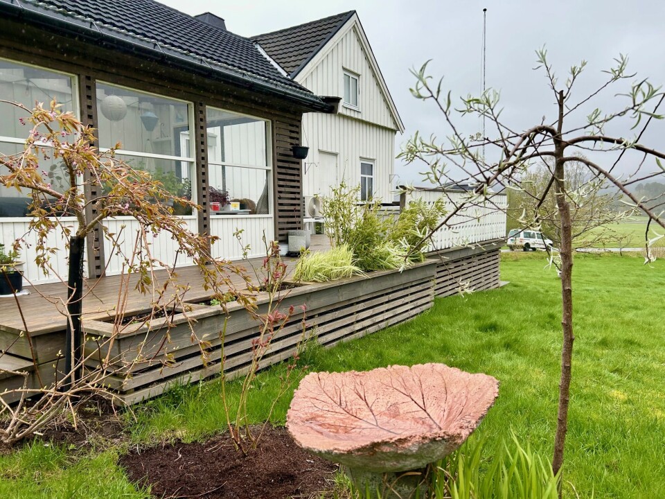 Hagestuen er god å ha når været er surt. Siv Janne forsøker å dele opp hagen i ulike soner ved å plante småtrær og rosebusker. Det dekorative fuglebadet i betong er laget av en venninne. Småtrær foran hagestue.