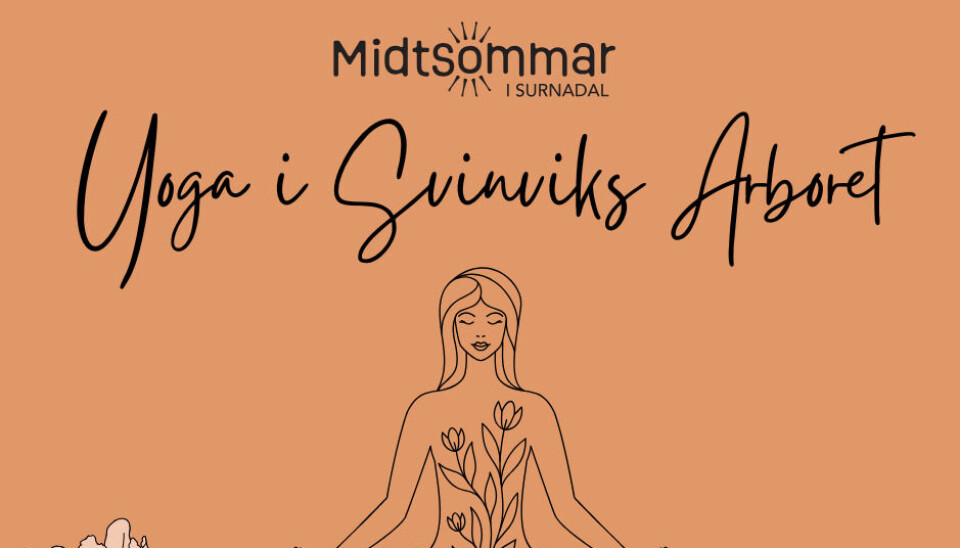 Yoga i Svinviks arboret 25.juni