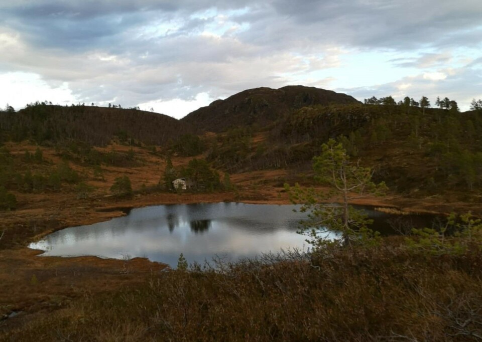Lomtjønna på Mellingfjellet med Svarrafjellet i horisonten. Et tjern.