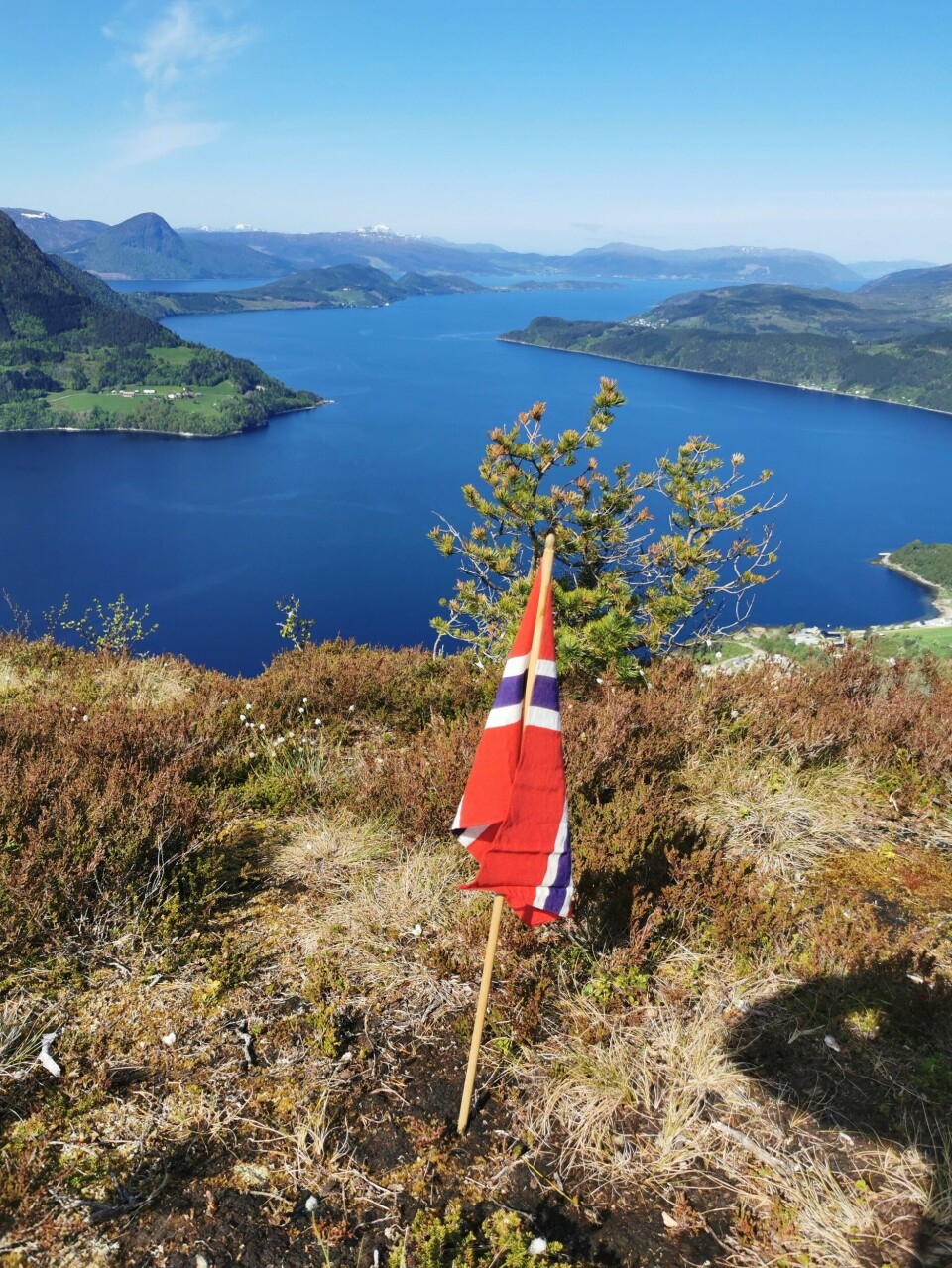 Svinvikhamran 17. mai. Et norsk flagg i lyngen, og fantastisk utsikt over en fjord.