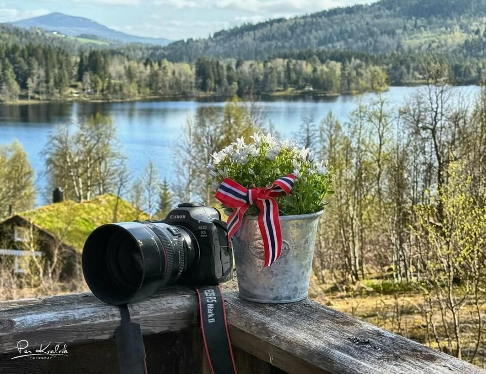 Fotokameraten feirer #17mai på #hytta. kamera og vase med 17.mai-sløyfe