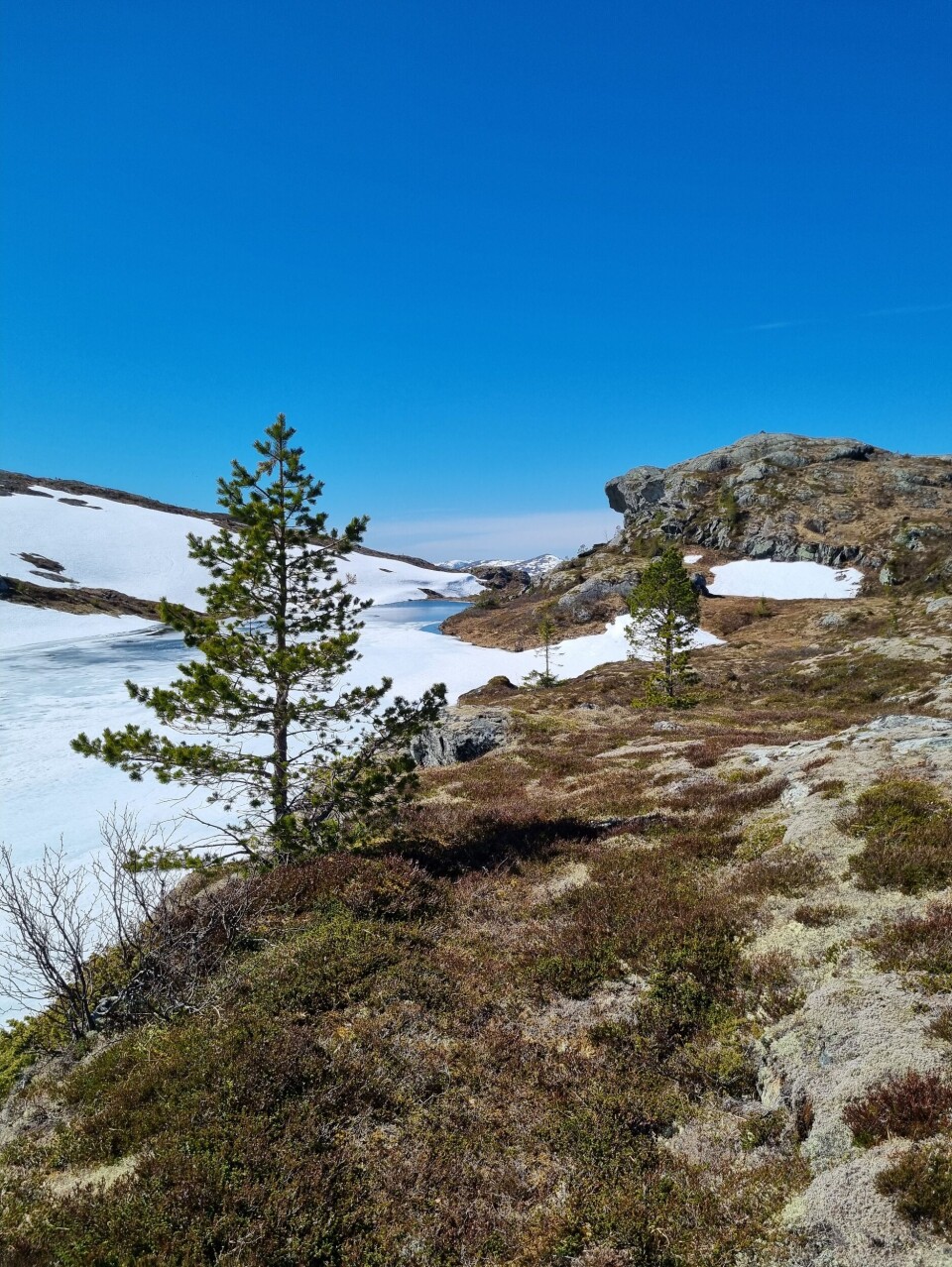 Tifjellet og Steinkjerkvatnet 18.mai