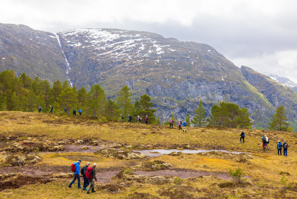 Turen ned fra Mellingfjellet. Mange turgåere i spredte grupper på fjellet.