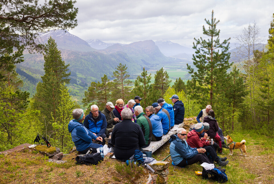 Til bords ved Fjelldalsgamma. Mange turgåere som sitter ved et rasteplassbord og spiser.