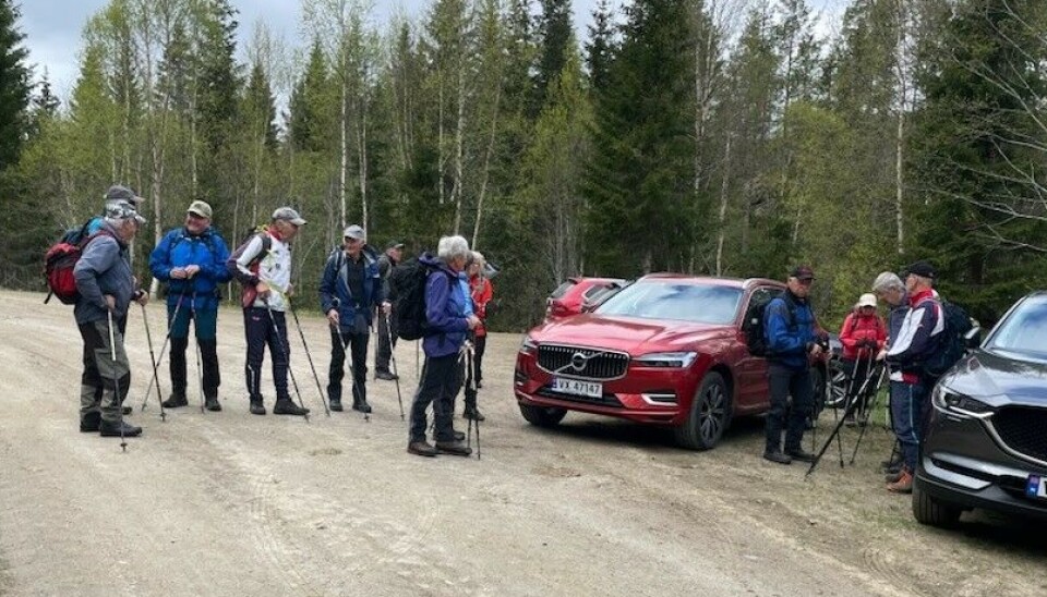 Tirsdagstur til Rabboren (Rabbolen) i Orkland Turgåere ved to parkerte biler på en grusveg i skogen.