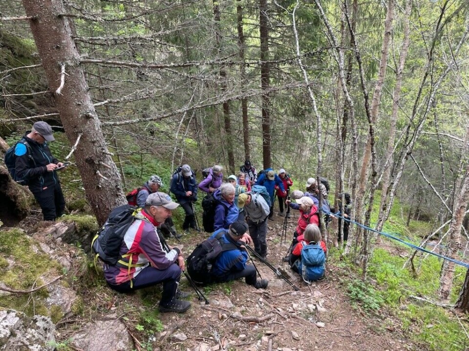 Tirsdagstur til Rabboren (Rabbolen) i Orkland Turgåere i en sti i ei bratt li.