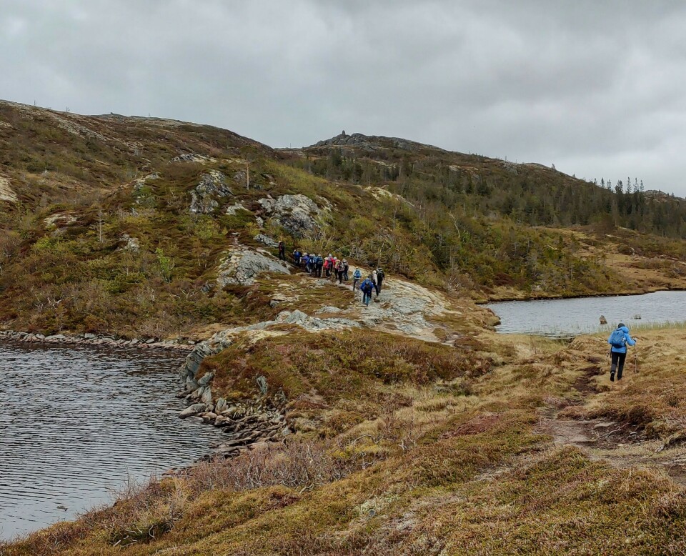 Rabbortjønnin. Turgåere på rekke og rad opp mot et fjell, med vann på begge sider av stien.