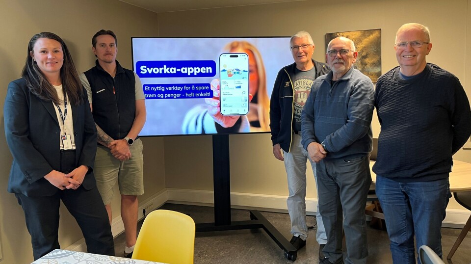 Tone Gåsvand og Olaf Karlstrøm fra Svorka, og Ole Trygve Foseide, Svein Halsetrønning og Tor Ålbu, som er instruktører i dataklubben. Fire menn og ei dame som står ved en storskjerm.