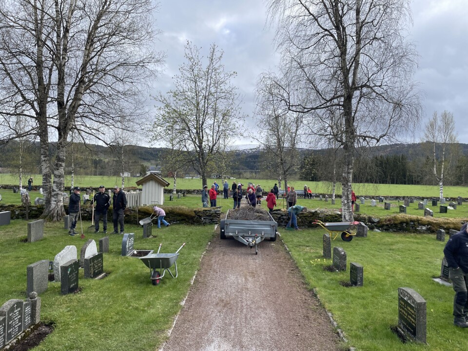 Rindal sokneråd takker alle for oppmøtet og flott innsats! Folk i sving på kirkegården