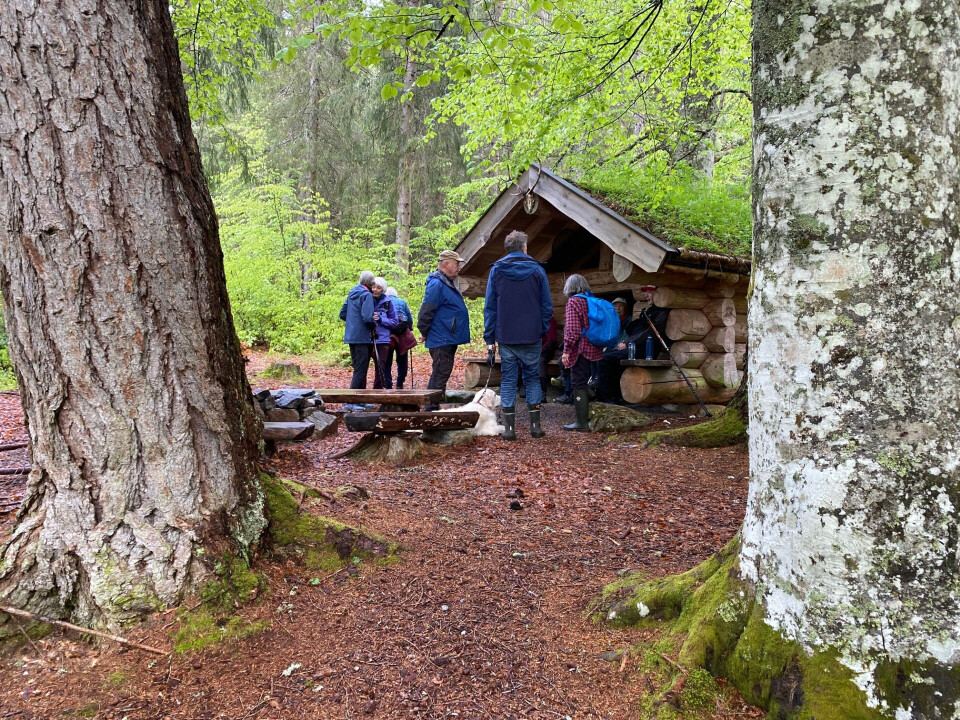 Stavgangtur i Bøkeskogen Personer som står ved ei løe i skogen
