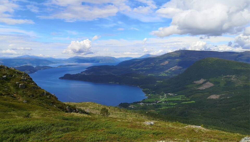 Nordvik og Haltbakkhavet sett frå Ørnnebba. Utsikt over en fjord fra et fjell