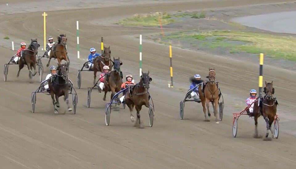 Mr. Pagadi fremst i andre spor på oppløpet på Momarken. Han krysset også målstreken som nr 2. Et travløp
