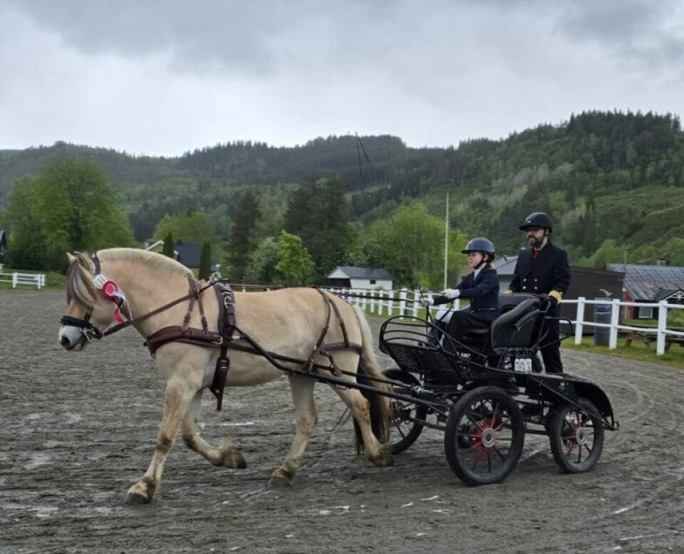 Dagens yngste deltakere er Ida på 11 år med hesten Kaspar. Michael Holberg er pappa og groom på stevne.