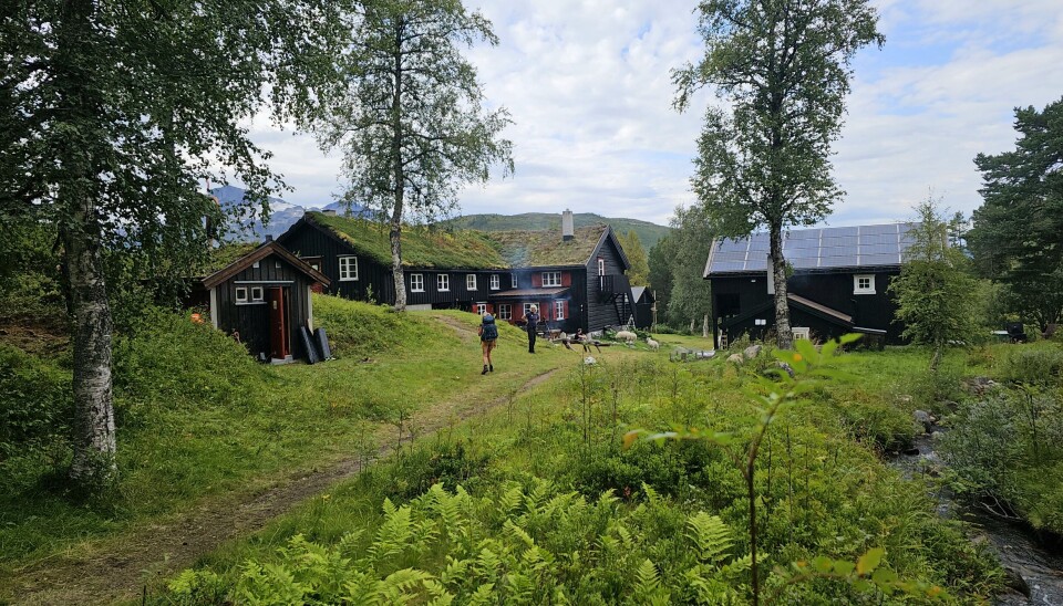 Ny leder på Trollheimshytta: Hege Sæther Moen tar over stafettpinnen