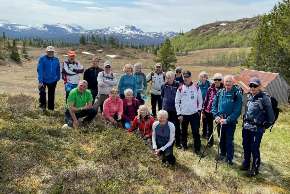 Fra Haltlisetra med kjente Trollheimsfjell i bakgrunnen. Ei gruppe turgåere oppstilt for fotografering i fjellandskap.