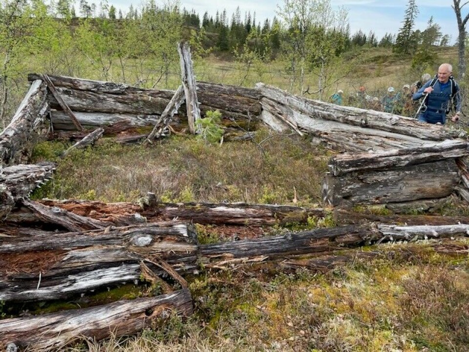 Rester av ei gammel høyløe i marka.