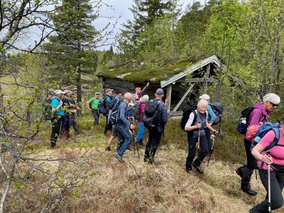 Nedfallsløer, og noen godt bevart. Ei gruppe turgåere som passerer ei høyløe i marka.