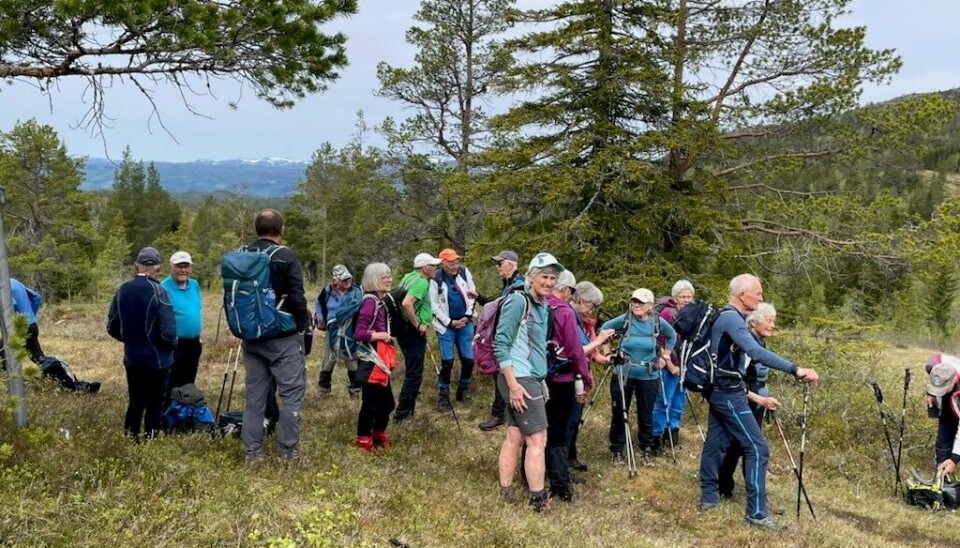 Tirsdagstur til Haltlisetra Ei gruppe turkledde folk i marka.
