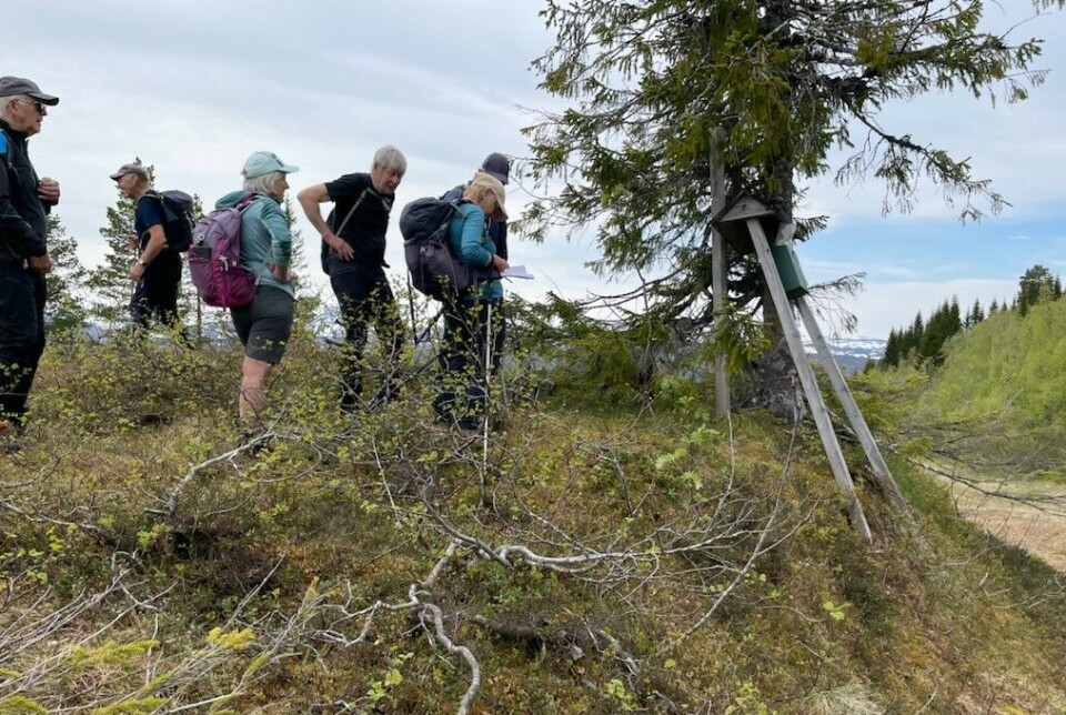 Flere pauser på tur opp Holtskaret. Turkledde folk i marka.