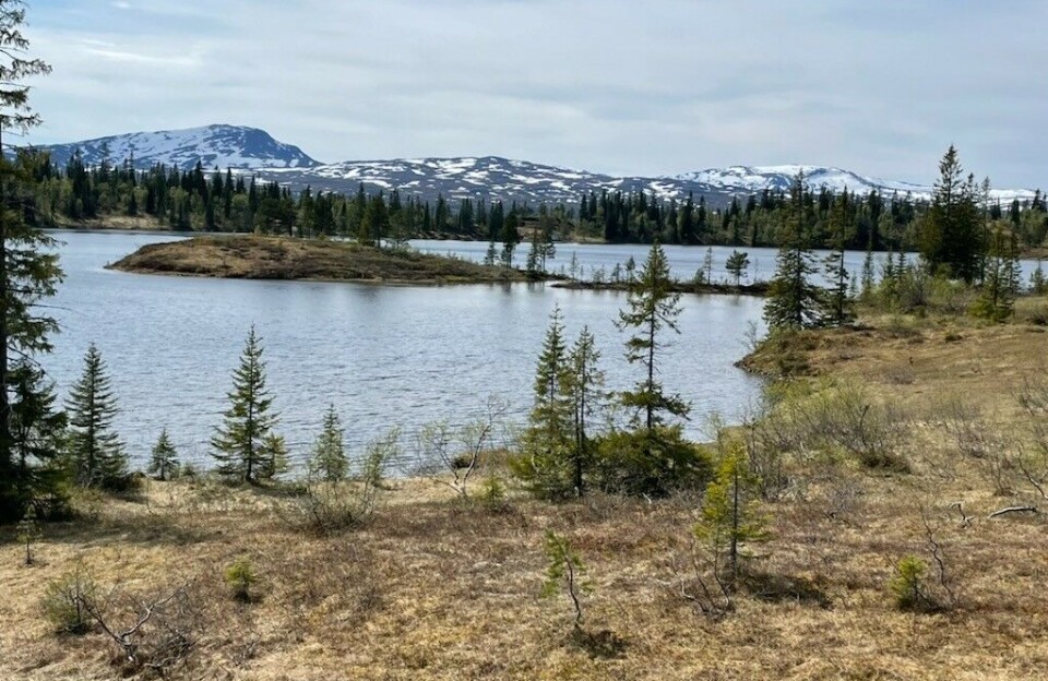 Stokkvatnet. Et vann i marka.