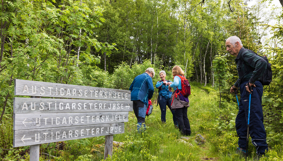 Gamle setertufter er fint å sjå. Mennesker ved skilt.