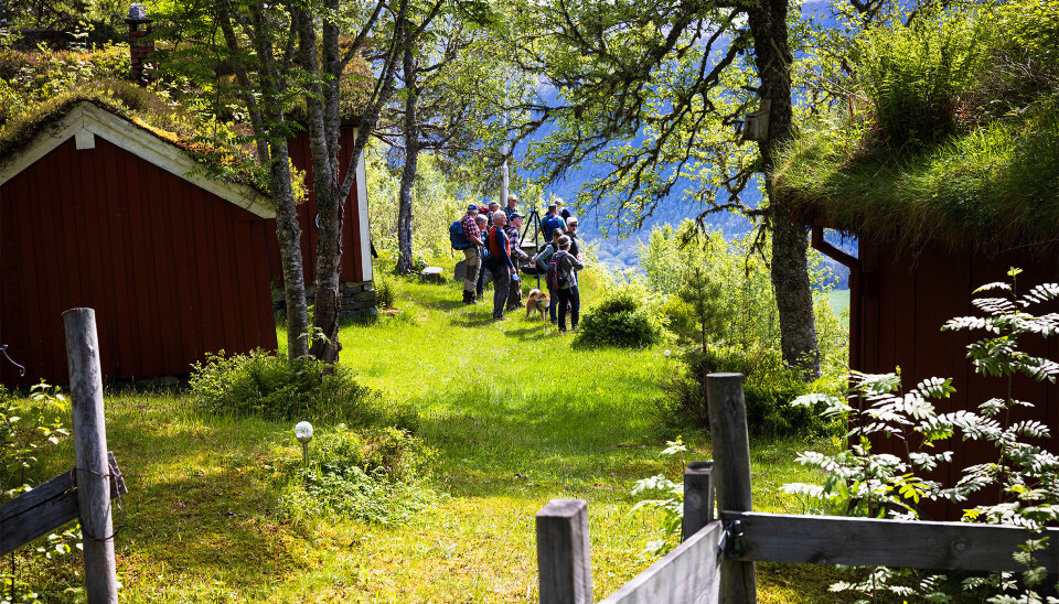 Pause ved idyllisk hytte med god utsikt. Mennesker som nyter utsikten ved hytter.