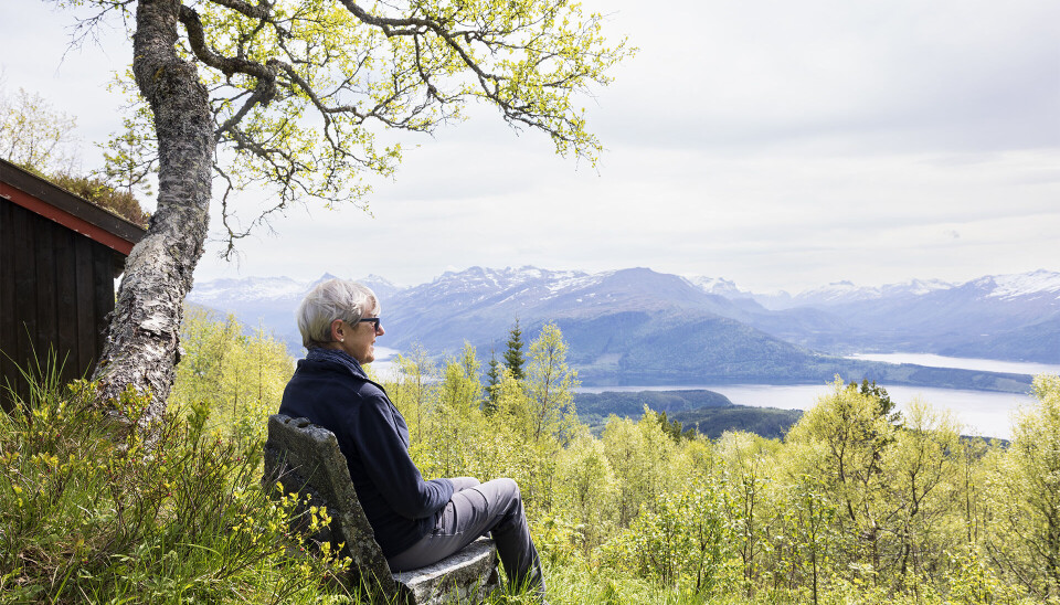 I solid og fin steinstol ved Vanghytta. Ei dame som sitter på en stol laga av stein. Fin utsikt i bakgrunnen.
