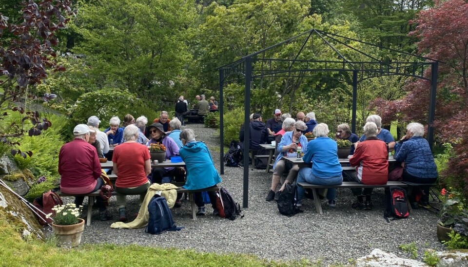 Stavgangtur til Svinvika Mange mennesker som sitter på benker.