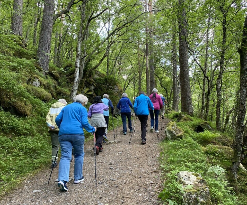 Stavgangtur til Svinvika Flere turkledde mennesker på tur opp en bakke.