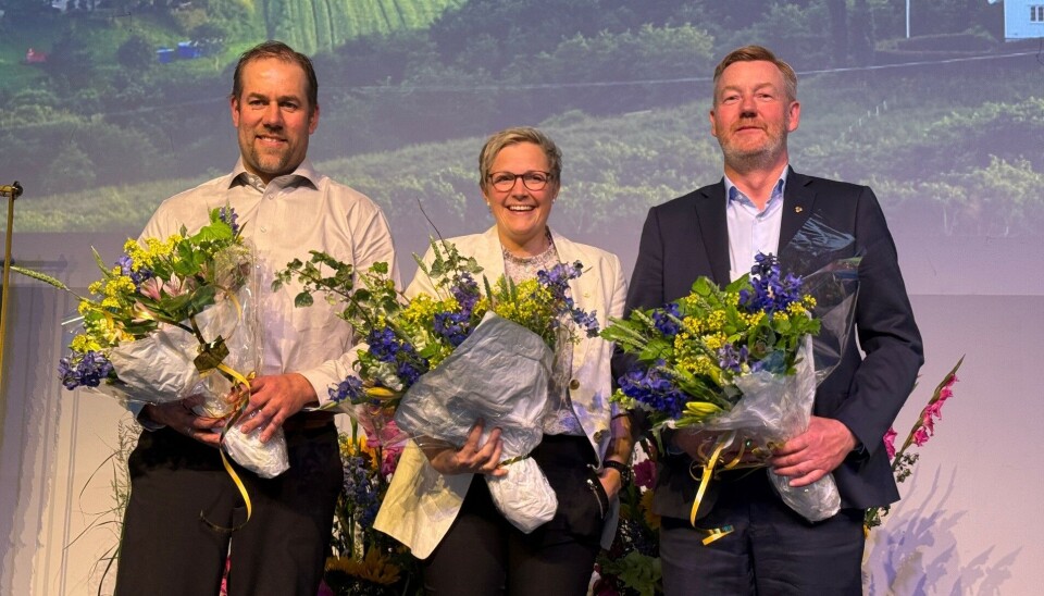Her er ledertrioen i Norges Bondelag. Fra venstre: 2. nesleder Konrad Kongshaug, 1. nestleder Bodhild Fjelltveit og leder i Norges Bondelag, Bjørn Gimming. To menn og ei dame, alle smilende med blomsterbuketter i armene.